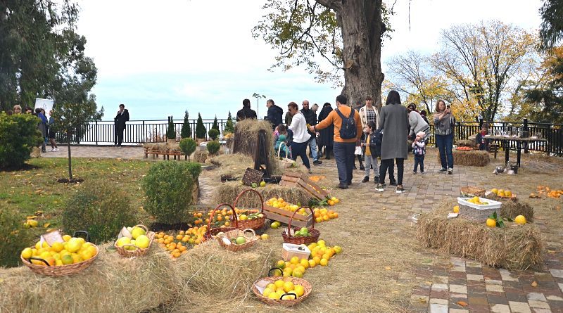 В воскресенье в Батумском ботаническом саду пройдёт осенняя выставка фруктов