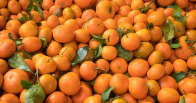 Доктор Курбатова: злоупотреблять мандаринами нельзя людям с заболеваниями почек