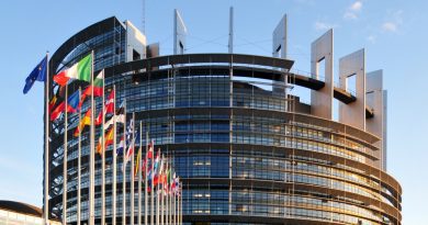 Европарламент поддержал резолюцию о предоставлении статуса Грузии