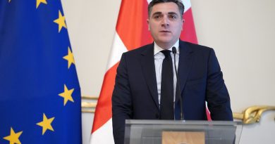 Глава МИД Грузии пояснил, почему президента не пригласили на Конференцию послов