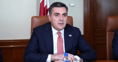 Глава МИД Грузии считает, что вокруг темы открытия дополнительных избирательных участков за границей создан чрезмерный ажиотаж