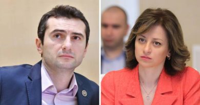 Кучава и Тикарадзе будут исключены из политсовета «Грузинской мечты»