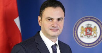 «Не соответствует национальным интересам» — МИД Грузии о решении не подписывать европейский «список Магнитского»