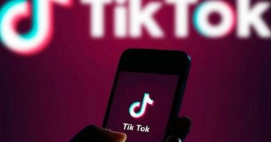 Штраф за видео в «TikTok» — GYLA просит Страсбургский суд установить факт нарушения права на свободу выражения мнения