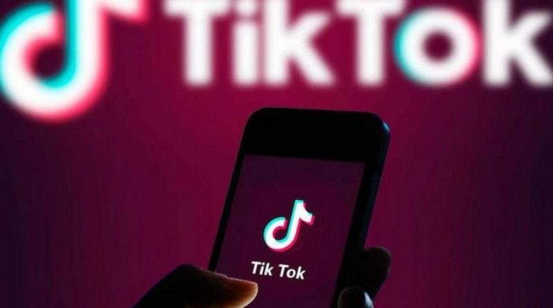 Штраф за видео в «TikTok» — GYLA просит Страсбургский суд установить факт нарушения права на свободу выражения мнения