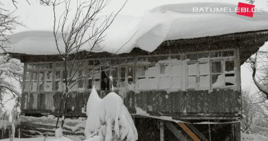 Снегопад лишил электричества жителей высокогорных районов Аджарии