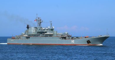 Украина уничтожила большой российский десантный корабль в Крыму