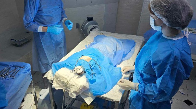 В операции по спасению собаки с проломленным черепом участвовали нейрохирурги