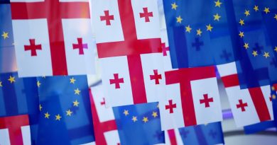 Вступление Грузии в ЕС поддерживают 79% граждан — опрос NDI