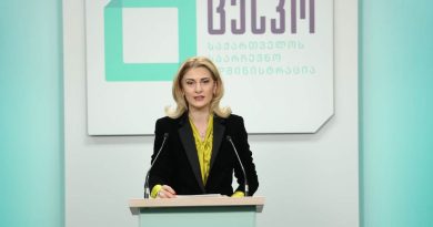ЦИК Грузии опроверг обвинения в игнорировании иммигрантов