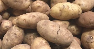 Грузия вернула в Россию 20 тонн зараженного картофеля