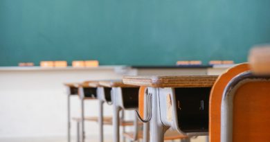 Схема повышения квалификации не адаптирована для учителей негрузиноязычных школ – омбудсмен