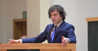 Кобахидзе выступил против проверок в судебной системе