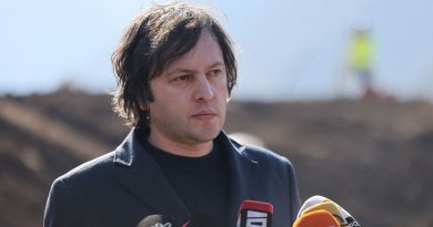 Кобахидзе заявил, что Грузия «пережила войну против радикальной оппозиции и ее друзей»