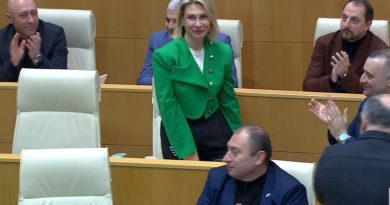 Нино Цилосани избрана вице-спикером Парламента Грузии