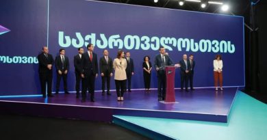 Партия «За Грузию» отказалась примкнуть к «Платформе единства ради Европы»