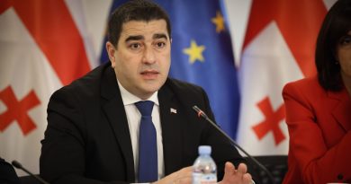 «Пора ЕС официально отмежеваться от клеветнических заявлений европарламентариев» — Папуашвили