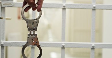В Грузии задержан мужчина обвиняемый в изнасиловании дочери