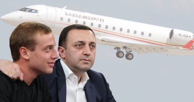 Аренда правительственного самолета обошлась Гарибашвили в 109 000 лари — декларация