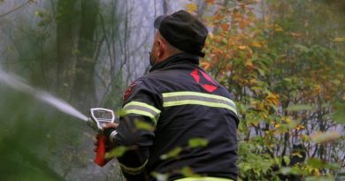 Гражданина оштрафовали на 500 лари за розжиг огня возле леса