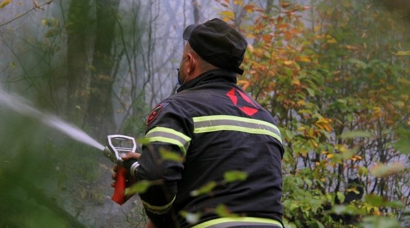 Гражданина оштрафовали на 500 лари за розжиг огня возле леса