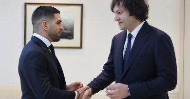 Кобахидзе: Важно, чтобы Илья Топурия сохранил гражданство Грузии