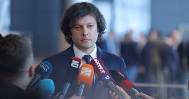 Правительство Грузии выражает обеспокоенность визитами Адеишвили в ЕС и ФРГ