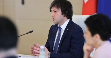 Премьер Грузии заявил, что закон о запрете «ЛГБТ-пропаганды» не должен нарушать Конституцию