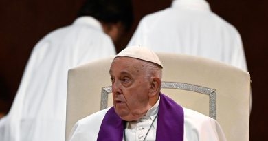 В Ватикане пояснили заявление Папы Франциска о «белом флаге»