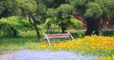27-28 апреля граждане Грузии смогут бесплатно посетить Батумский ботанический сад