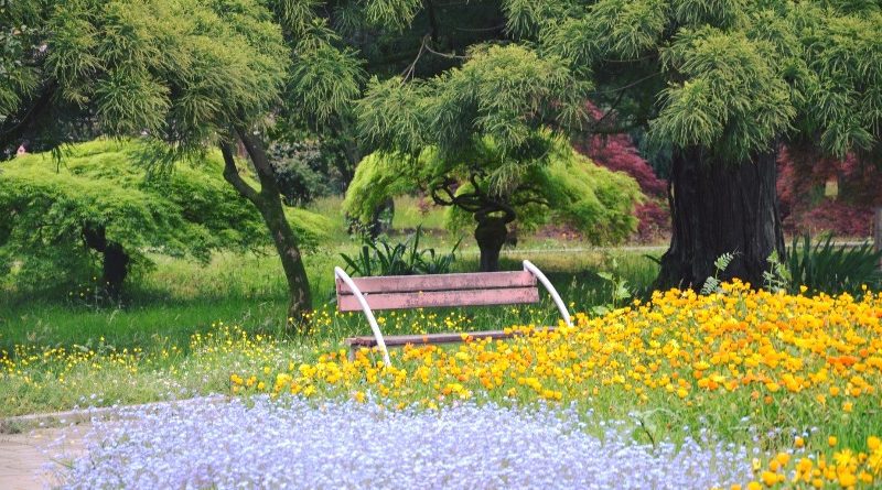 27-28 апреля граждане Грузии смогут бесплатно посетить Батумский ботанический сад