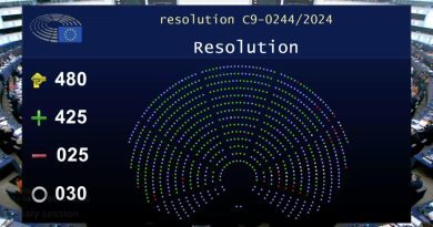 Европарламент принял резолюцию, которая предусматривает возможный пересмотр безвизового режима для Грузии