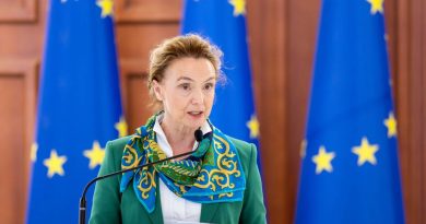 Генсек Совета Европы обеспокоена возвращением в парламент Грузии законопроекта «О прозрачности иностранного влияния»