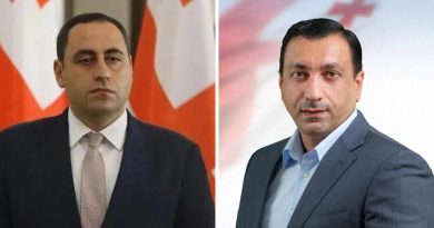 Георгия Вашадзе и Левана Бежашвили отстранили от участия в заседании по обсуждению «российского закона»