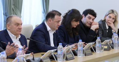 «Грузинская мечта» поддержит инициативу «Гирчи» об отмене гендерного квотирования в избирательном списке
