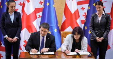 Национальная платформа Грузии приостанавливает действие меморандума, подписанного с парламентом