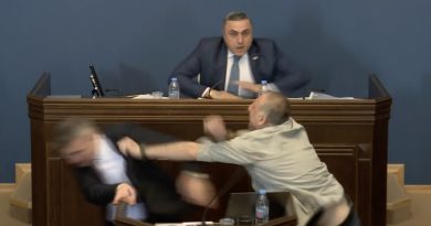 Оппозиционный депутат Элисашвили ударил лидера большинства Мамуку Мдинарадзе