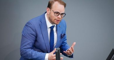 По мнению немецкого депутата, Грузия может потерять статус безопасной страны, если примет российский закон