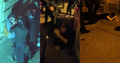 Спецназовцы применили физическое насилие к участникам митинга [видео]