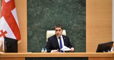 Спикер парламента Грузии приветствует вызов послов на дебаты