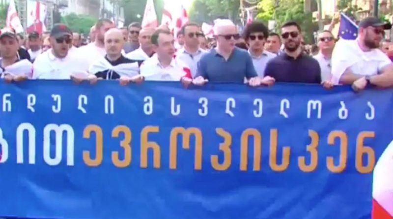Сын Иванишвили возглавил молодежный марш под лозунгом «К Европе достойно»