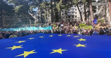 Гражданские организации: «Этот протест служит обеспечению европейского, мирного и счастливого будущего»