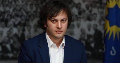 Кобахидзе исключил отзыв «российского закона»
