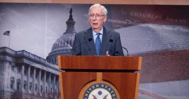 Лидер республиканцев в Сенате США призвал «Мечту» отозвать «российский закон»