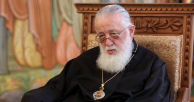 Несмотря на разногласия, нас должна объединить любовь к родине — Патриарх Грузии Илья II