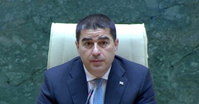 Парламент Грузии планирует преодолеть вето президента на т.н. «закон об оффшорах»