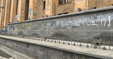 Парламент Грузии утвердил «российский закон», за него проголосовало 84 депутата