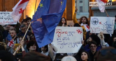 Студенты более 30-ти вузов Грузии объявили забастовку