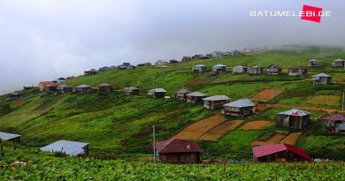 Часть пастбищ высокогорной Аджарии остались без электроэнергии