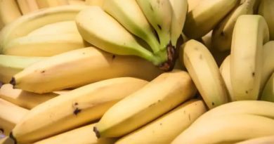 Как нужно есть бананы, чтобы они действительно приносили пользу организму: 4 важных правила